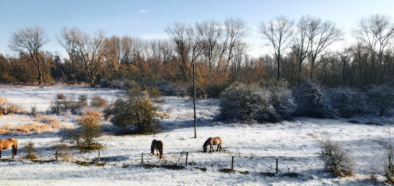 Gezinskamer Van Waard Van Kekerdom Exteriér fotografie
