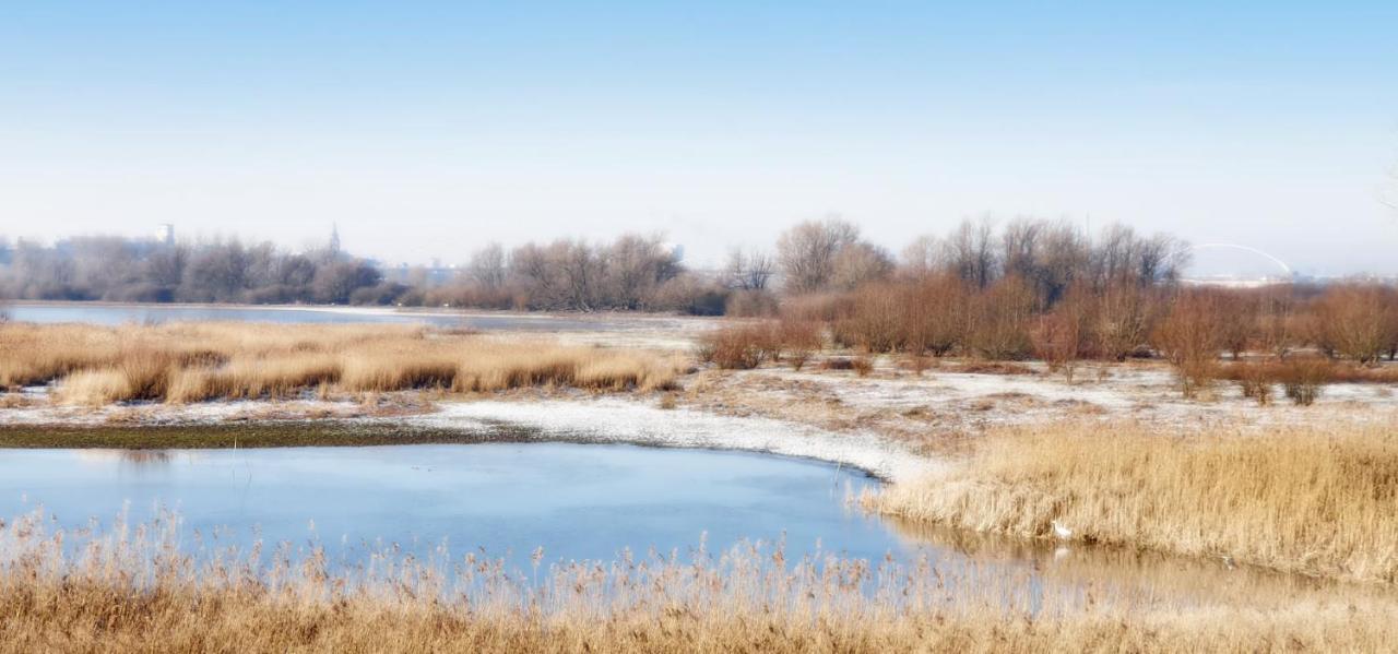 Gezinskamer Van Waard Van Kekerdom Exteriér fotografie
